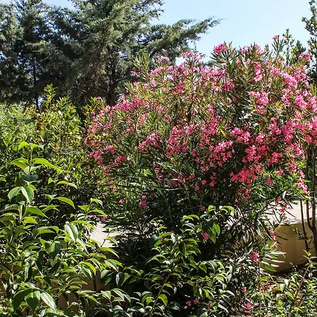 Nireas Corfu Hotel de apartamente Acharavi (Corfu)
