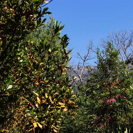 Apartmanhotel Nireas Corfu